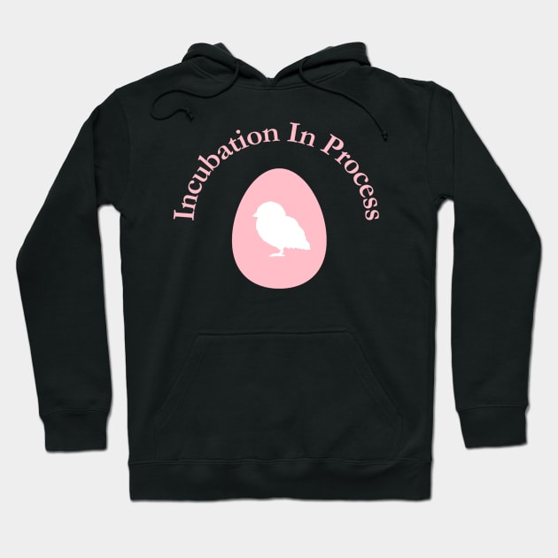 Incubation In Process, Pregnancy Announcement, Funny, Cute< Gender Reveal Design Hoodie by BirdsnStuff